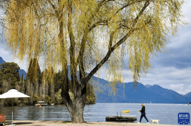 中國公民持有效澳洲簽證今起可免簽入境新西蘭